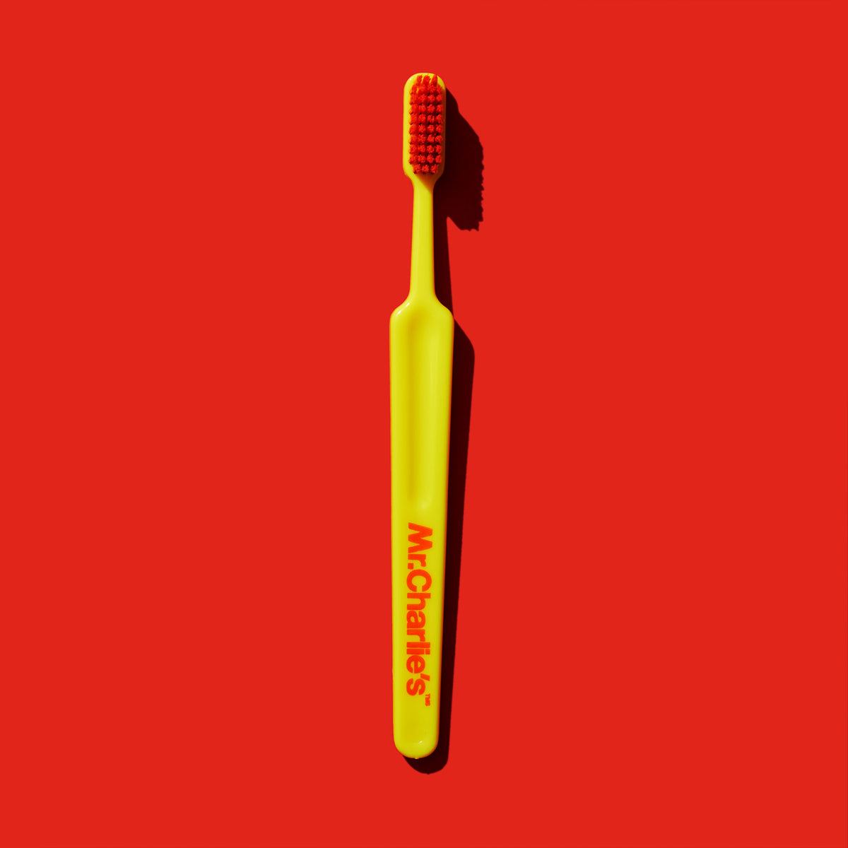 Mr.Charlie's Toothbrush – Mr.Charlie's TMS